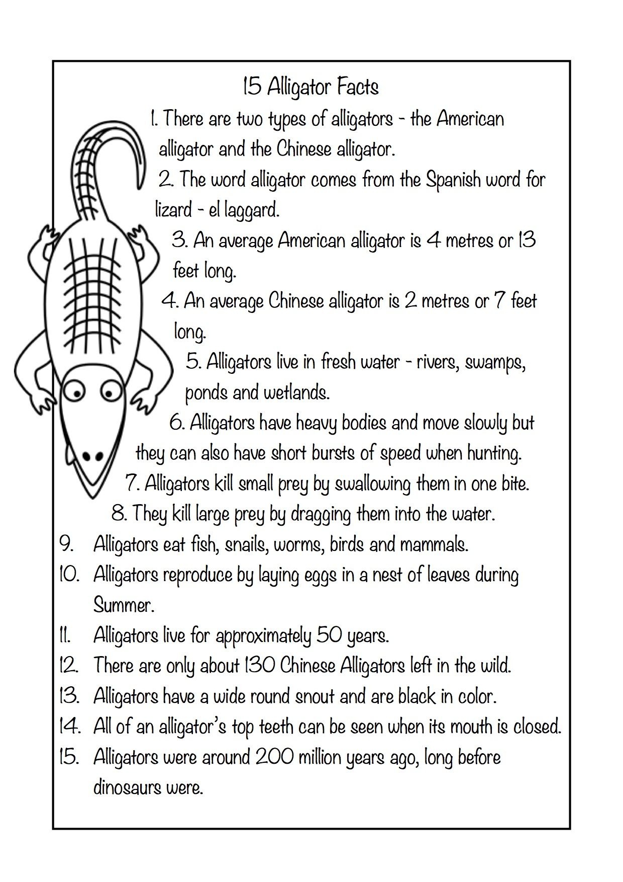 Reptile Worksheets