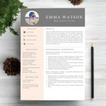 40 Free Printable Resume Templates 2019 To Get A Dream Job | Resume   Free Printable Professional Resume Templates