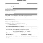 45 Free Promissory Note Templates & Forms [Word & Pdf] ᐅ Template Lab   Free Promissory Note Printable Form
