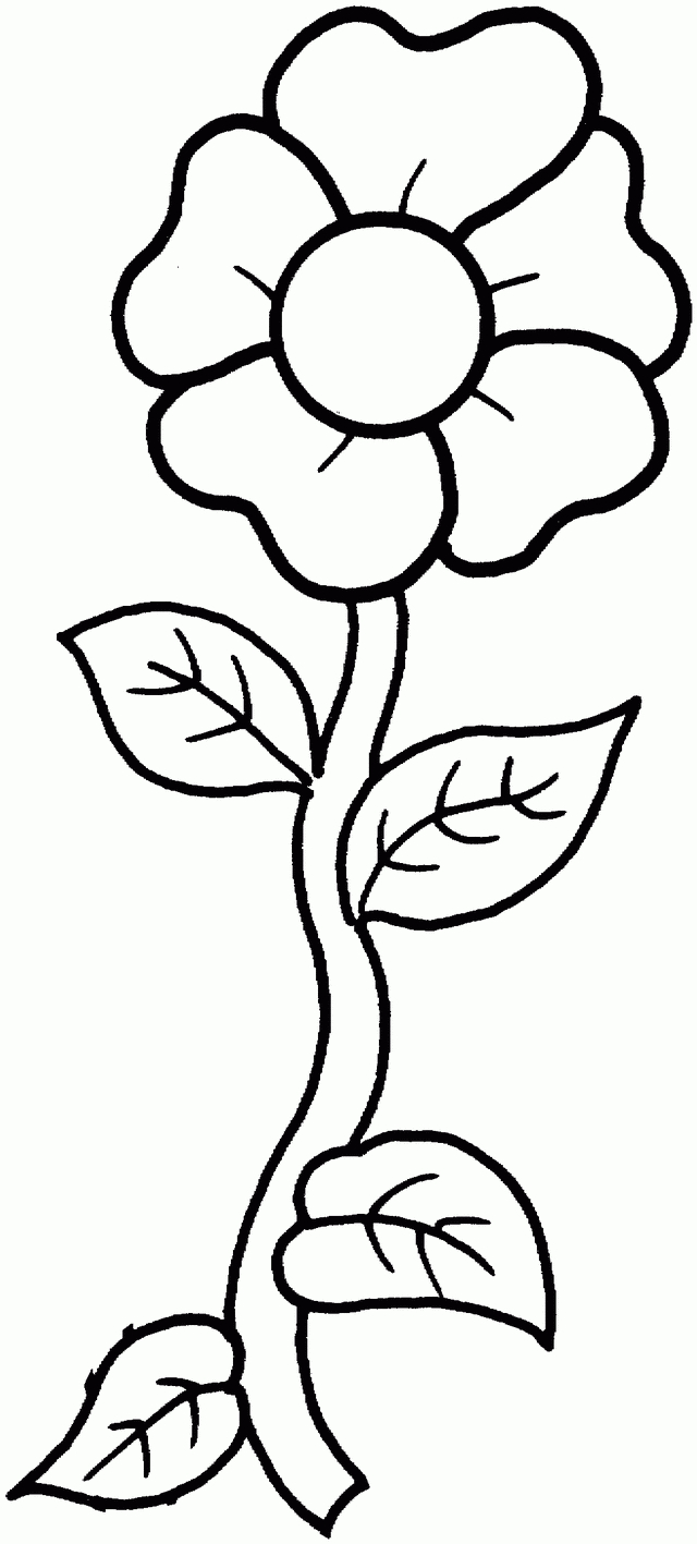 A Single Flower - Free Printable Coloring Pages- For When They Want - Free Printable Flower Coloring Pages