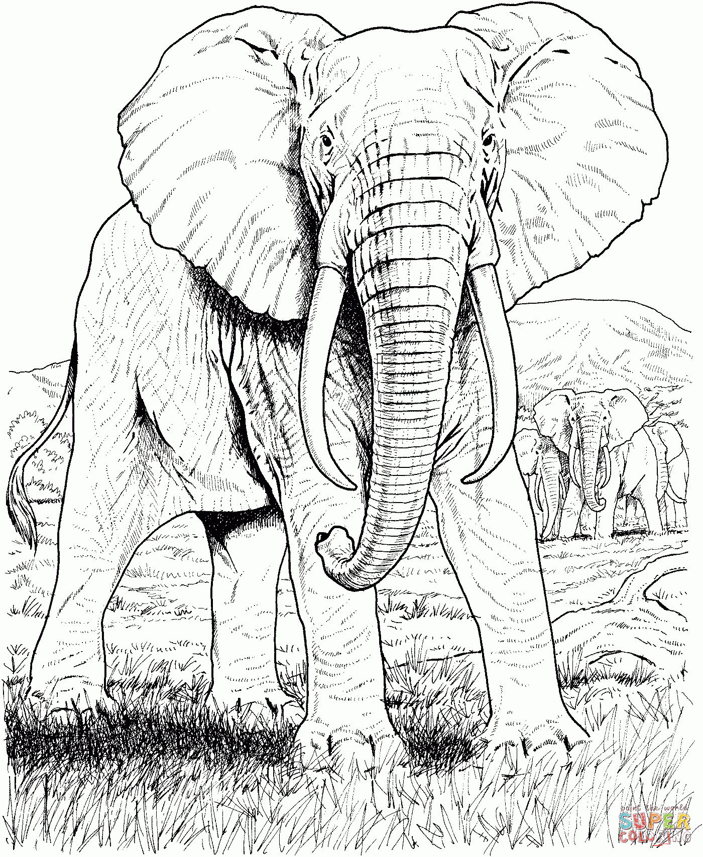 African Animals Coloring Pages | Free Printable Pictures - Free Printable Realistic Animal Coloring Pages