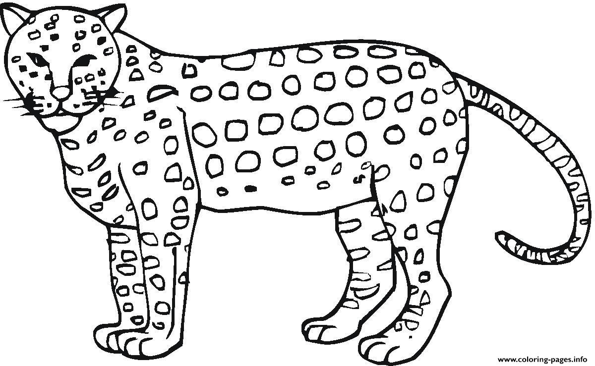 Animal Cheetah Print Out S3296 Coloring Pages Printable - Free Printable Cheetah Pictures