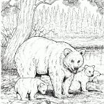 Baby Animals Coloring Pages | Free Printable Pictures   Free Printable Realistic Animal Coloring Pages