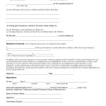Child Custody Agreement Special Best S Of Temporary Guardianship   Free Printable Child Custody Forms