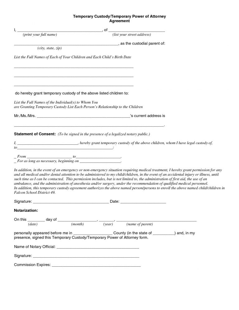 help with child custody papers