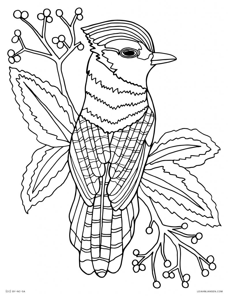 Coloring Pages And Printable Coloring Pages