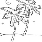 Coloring Pages Ideas: Free Printable Treeoloring Pages For   Free Printable Palm Tree Template