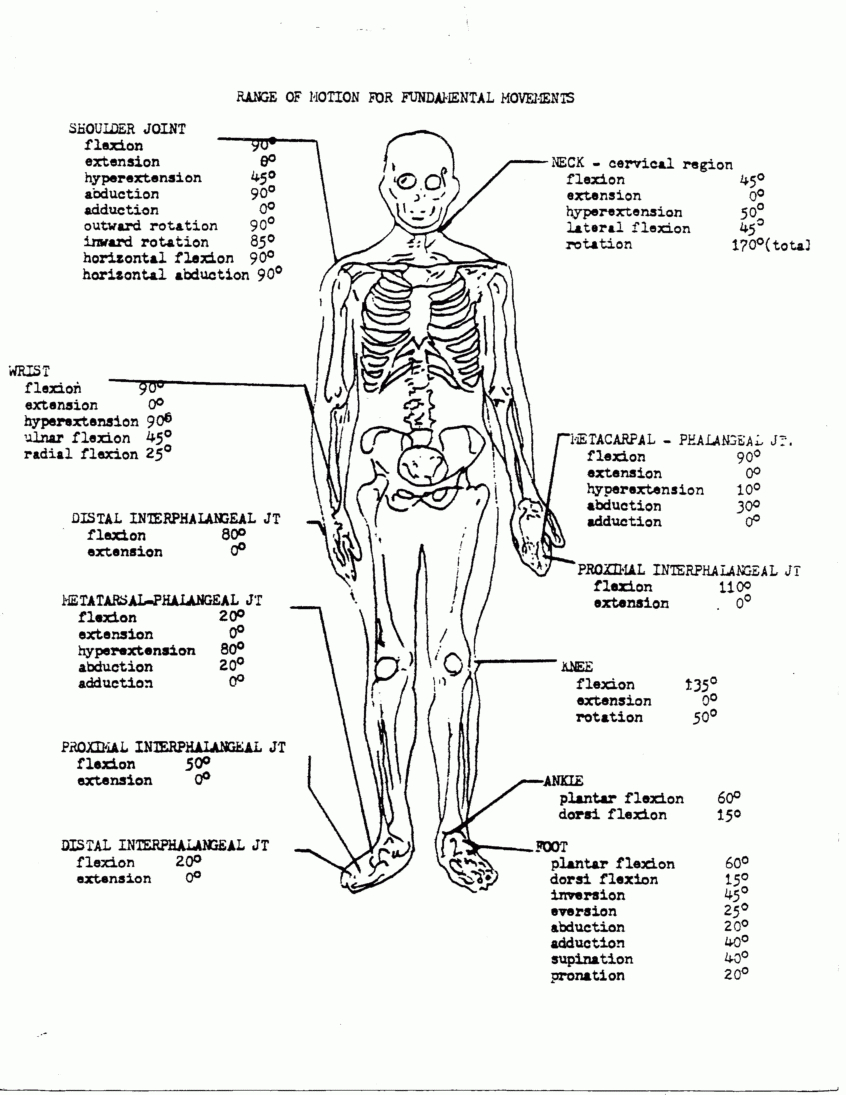 free-anatomy-coloring-book-pdf-coloring-pages