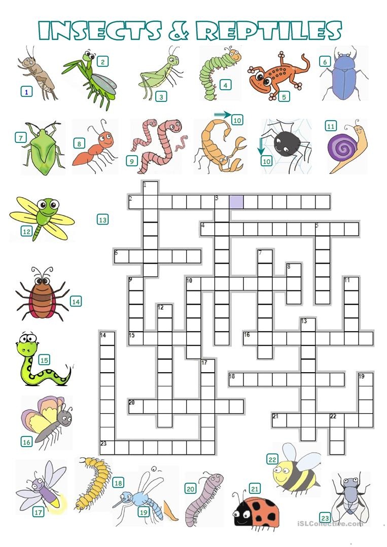 Crossword - Insects And Reptiles Worksheet - Free Esl Printable - Free Printable Reptile Worksheets