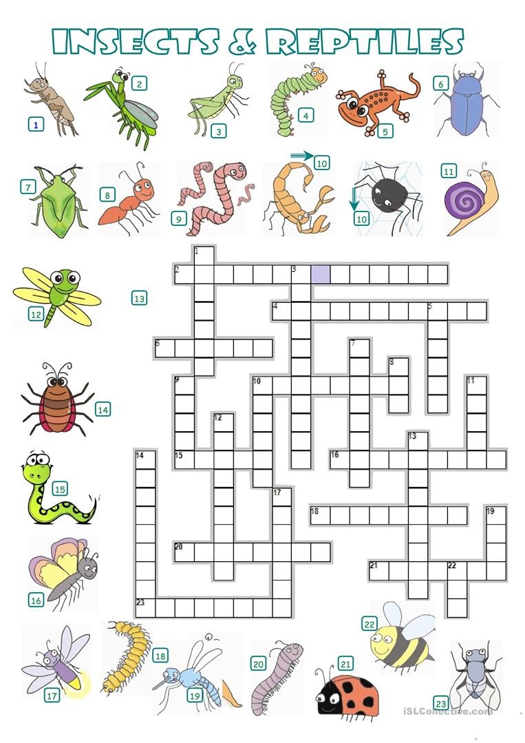 Let's Talk About Reptiles Worksheet - Free Esl Printable Worksheets