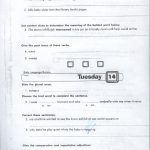 Daily Geography Grade 5 Printables. Printable. Free Printable Worksheets   Daily Language Review Grade 5 Free Printable