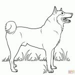Dogs Coloring Pages | Free Coloring Pages   Free Printable Dog Coloring Pages