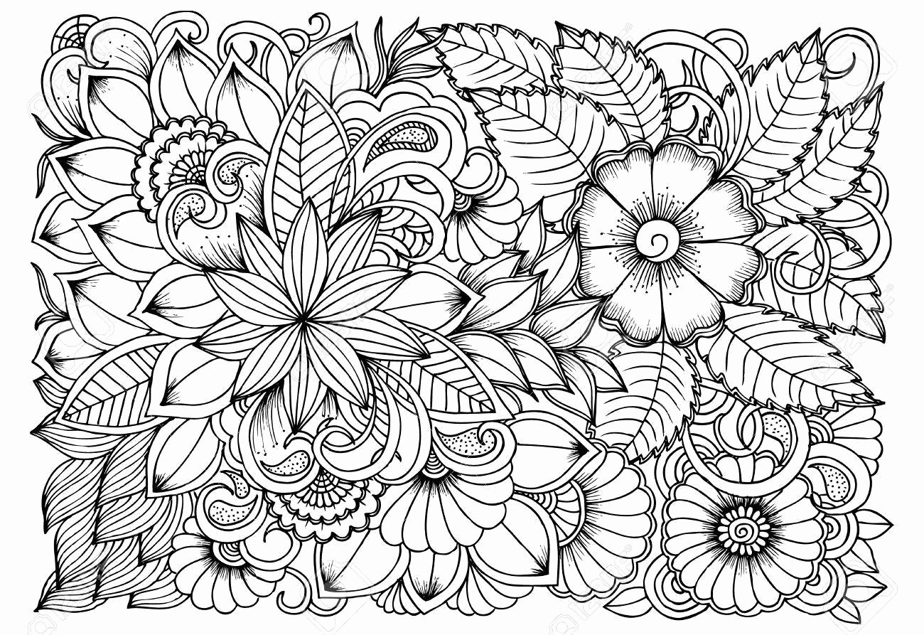 Fall Coloring Pages For Adults - Best Coloring Pages For Kids - Free Printable Coloring Sheets