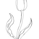 Flower Page Printable Coloring Sheets | Spring Flowers Coloring   Free Printable Tulip Coloring Pages