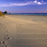 Footprints In The Sand Hd Wallpaper | Background Image | 1920X1080   Footprints In The Sand Printable Free