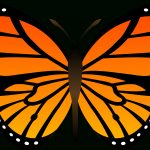 Free Butterfly Images Free, Download Free Clip Art, Free Clip Art On   Free Printable Butterfly Clipart