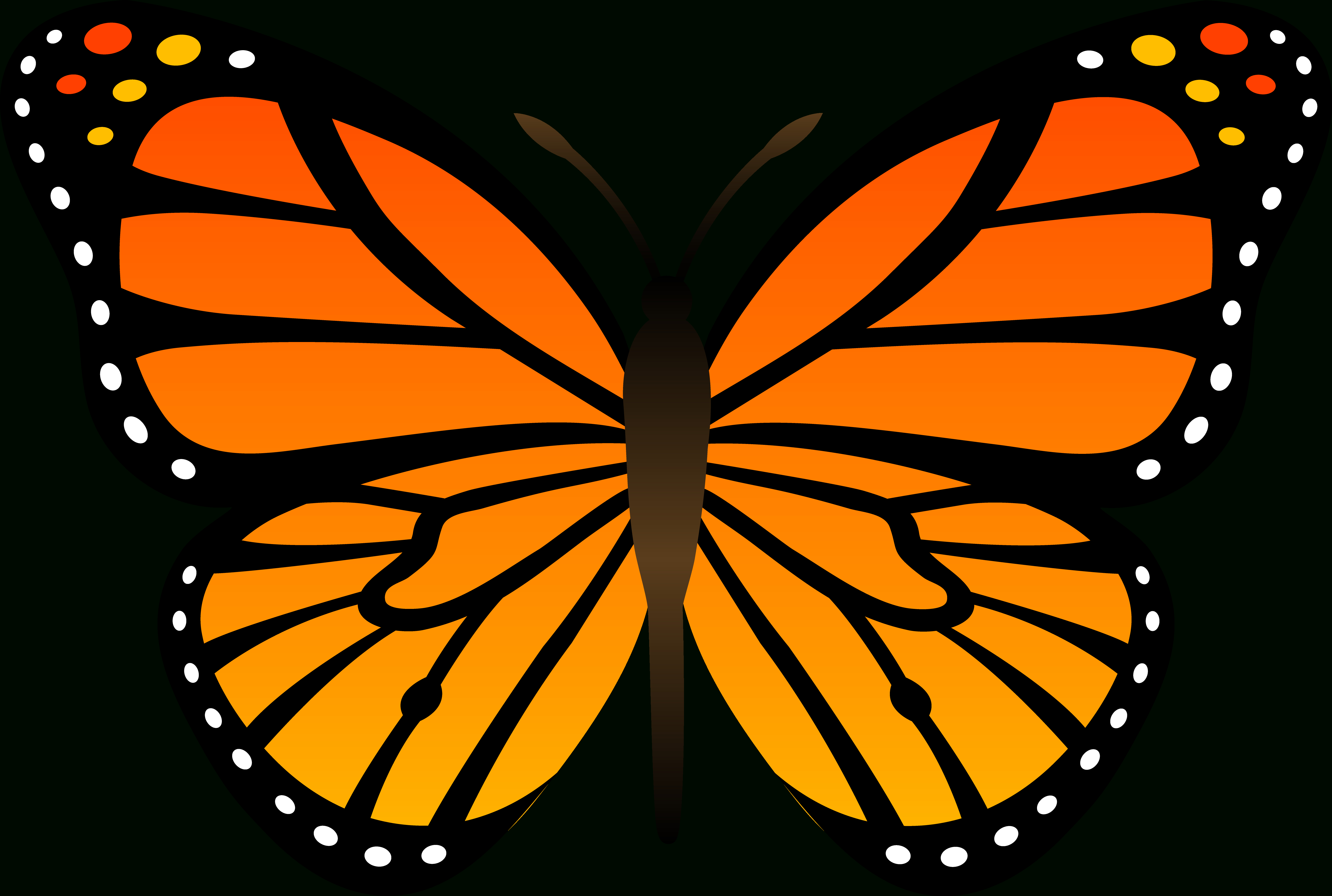 Free Butterfly Images Free, Download Free Clip Art, Free Clip Art On - Free Printable Butterfly Clipart