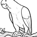 Free Coloring Page Of African Animals | African Grey, African Grey   Free Printable Parrot Coloring Pages
