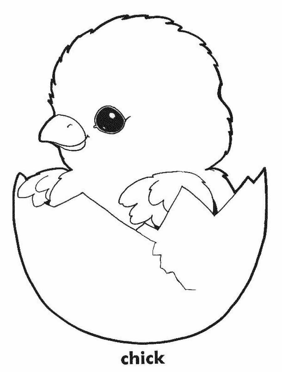 Free Coloring Pages For Chickens, Download Free Clip Art, Free Clip - Free Printable Easter Baby Chick Coloring Pages