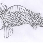 Free Fish Images Drawings, Download Free Clip Art, Free Clip Art On   Free Printable Pencil Drawings
