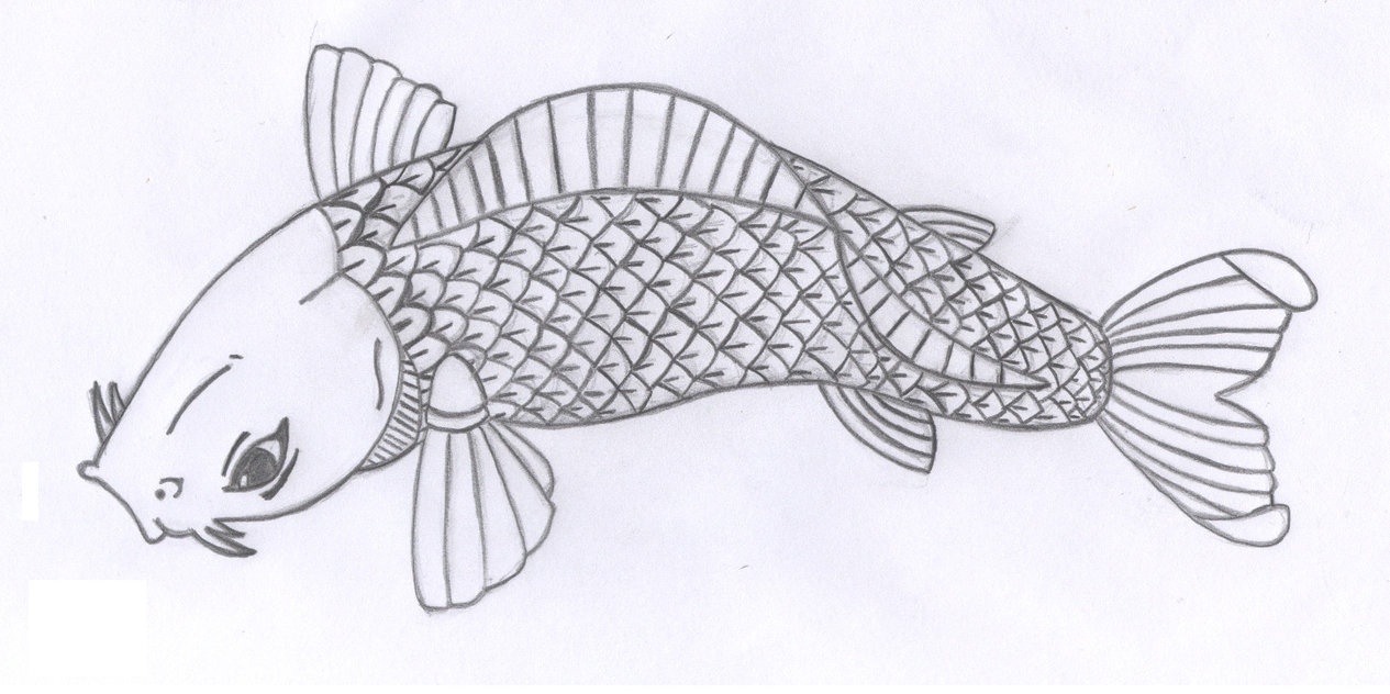 Free Fish Images Drawings, Download Free Clip Art, Free Clip Art On - Free Printable Pencil Drawings