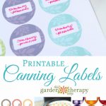 Free Printable Canning Labels   Free Printable Jam Labels