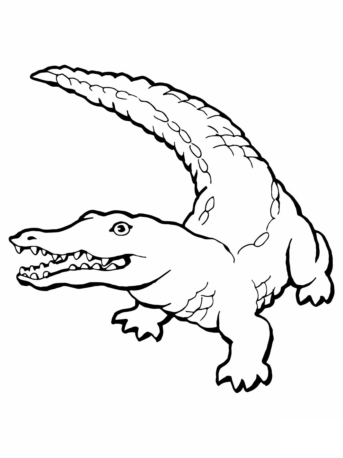 Free Printable Crocodile Coloring Pages For Kids - Free Printable Pictures Of Crocodiles
