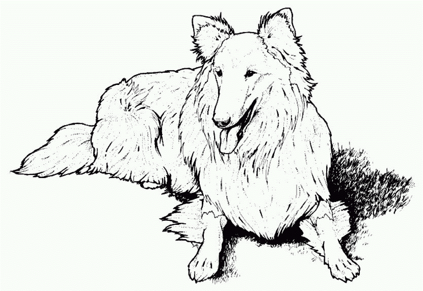 Free Printable Dog Coloring Pages For Kids - Free Printable Dog Coloring Pages