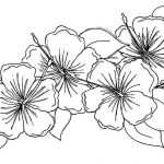 Free Printable Flowers To Color | Presidencycollegekolkata   Free Printable Flower Coloring Pages
