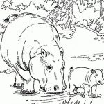 Free Printable Hippo Coloring Pages For Kids | Animals | Wenn Du Mal   Free Printable Hippo Coloring Pages