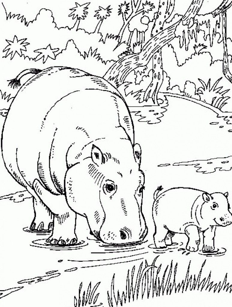 Free Printable Hippo Coloring Pages For Kids | Animals | Wenn Du Mal - Free Printable Hippo Coloring Pages