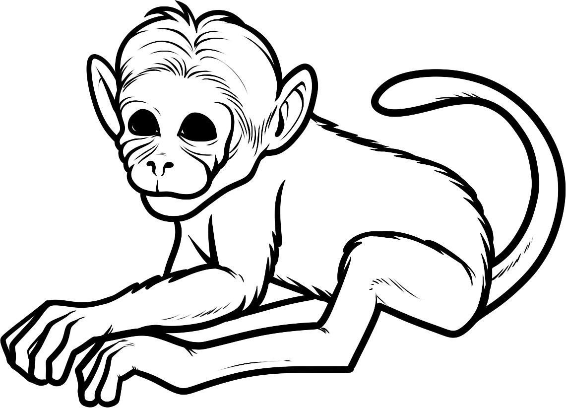Free Printable Monkey Coloring Pages For Kids | Girl Scouts | Monkey - Free Printable Monkey Coloring Pages