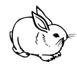 Free Printable Rabbit Coloring Pages For Kids   Free Printable Bunny Pictures