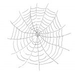 Free Printable Spider Web Coloring Pages For Kids   Free Printable Spider Web