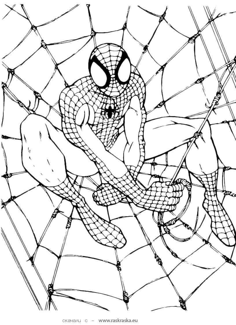 Free Printable Spiderman Coloring Pages For Kids - Free Printable Spiderman Coloring Pages