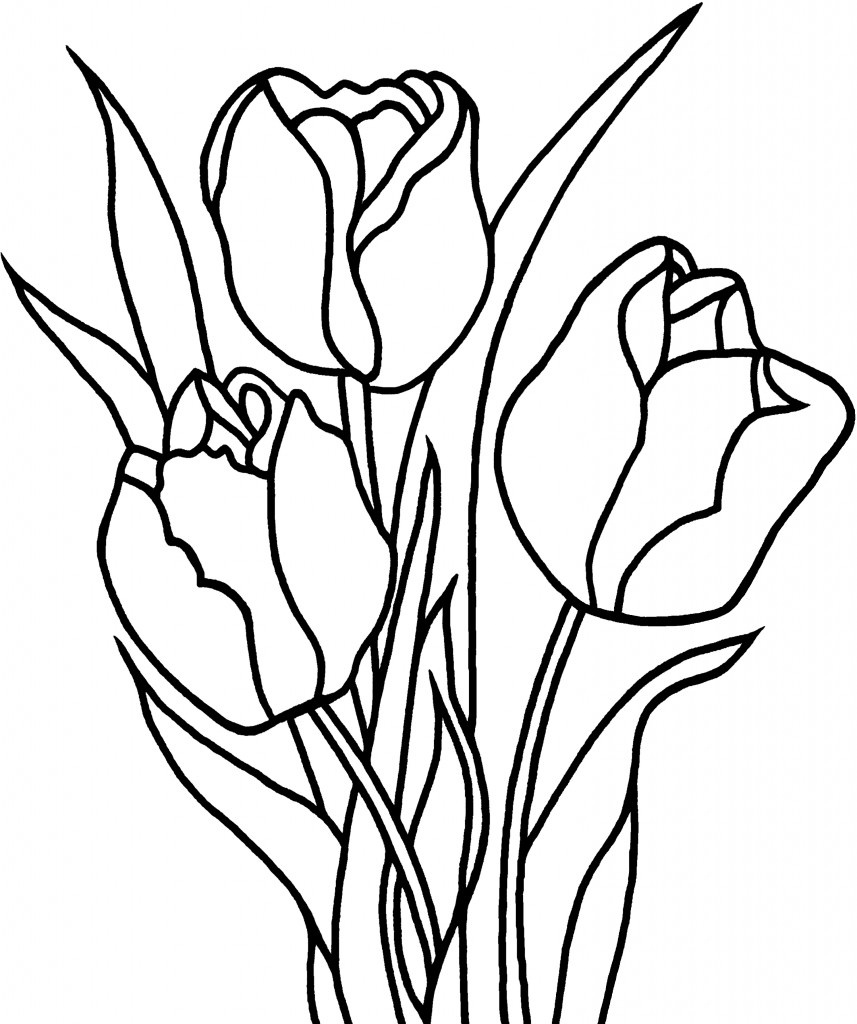 Free Printable Tulip Coloring Pages For Kids - Free Printable Tulip Coloring Pages