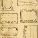 Free Printable Vintage Pharmacy & Apothecary Labels | The   Free Printable Vintage Labels
