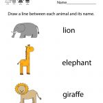 Free Printable Zoo Worksheet For Kindergarten   Free Printable Zoo Worksheets