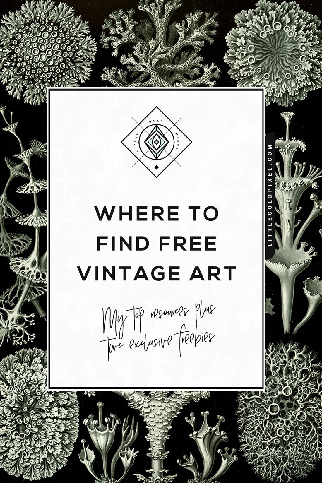 Free Vintage Art • Where To Find It + Exclusive Freebies • Little - Free Printable Vintage Art