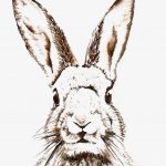 Free Vintage Easter Clipart Images | Easter | Pinterest | Pascua   Free Printable Bunny Pictures