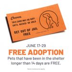 Get Out Of Jail Freeplaying Petnopoly At Animal Services   City   Get Out Of Jail Free Card Printable