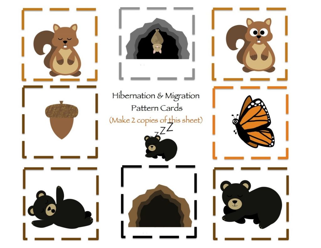 Kindergarten Hibernation Lesson