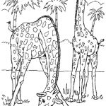 Image Result For Realistic Animal Coloring Pages For Adults | Kids   Free Printable Realistic Animal Coloring Pages