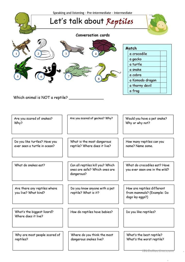 reptiles worksheet 1st grade