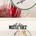 Mistletoes Nail Polish Gift Idea   Free Printable Mistletoe Tags