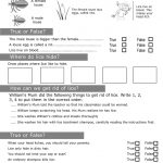 Personal Hygiene Worksheets For Kids 4 | Sherin Jose | Personal   Free Printable Personal Hygiene Worksheets