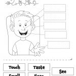 Pindebbie Simms On Preschool Crafts | Senses Preschool, 5 Senses   Free Printable Worksheets Kindergarten Five Senses