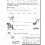 Pinlilsunflower On Coloring Pages | Science Worksheets, 2Nd   Free Printable Science Worksheets For 2Nd Grade
