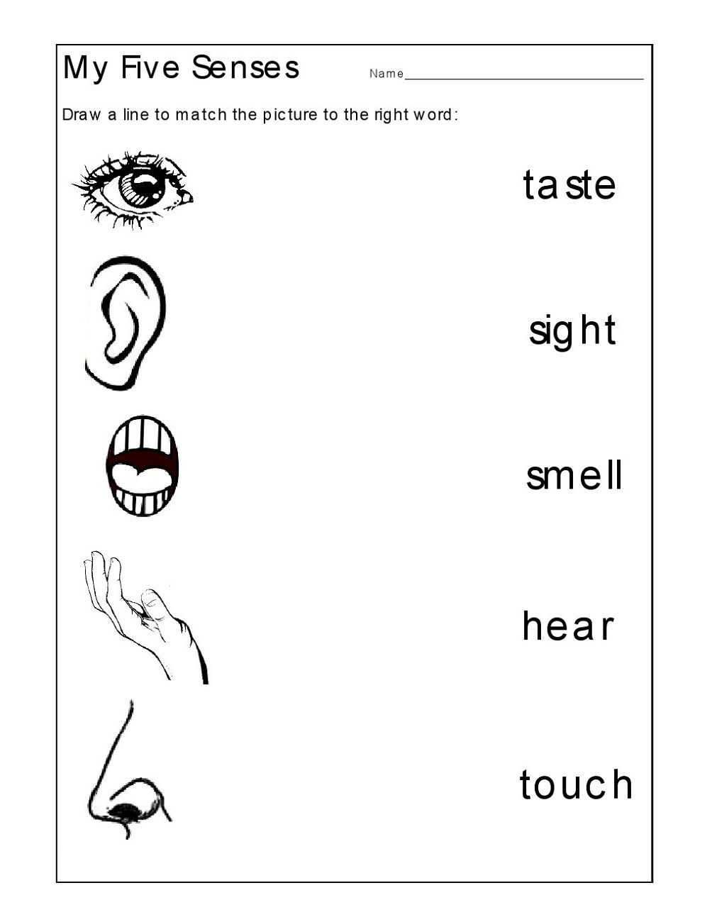 Preschool Activity Sheets 5 Senses | Learning Printable | Kids - Free Printable Worksheets Kindergarten Five Senses
