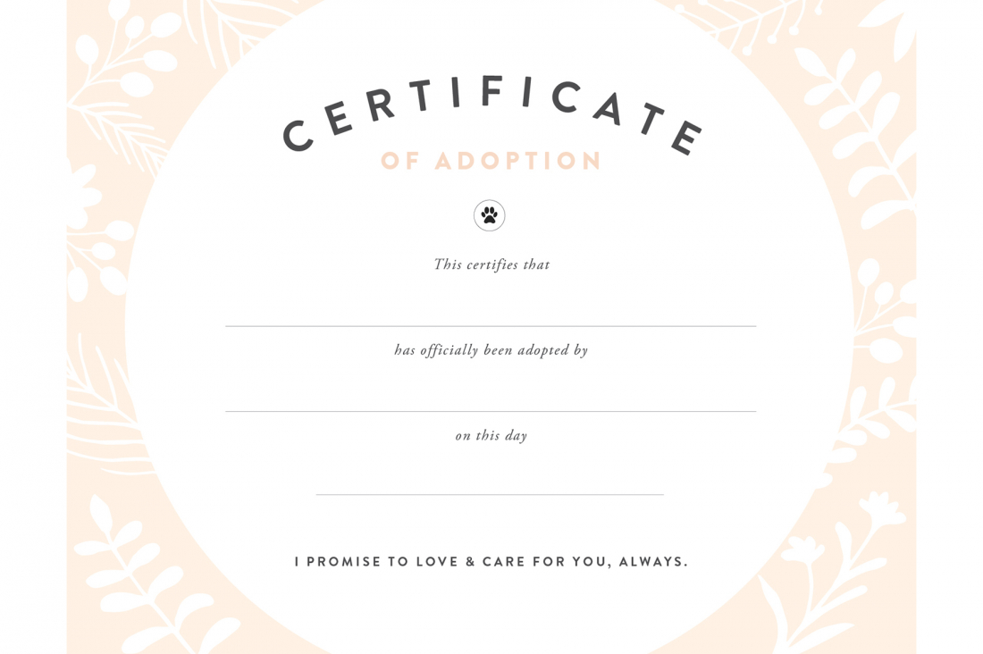 Pretty Fluffy - Free Printable Best Daughter Certificate
